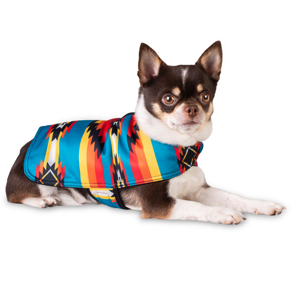 Southwestern Dog Poncho