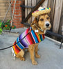 Dog Sombrero