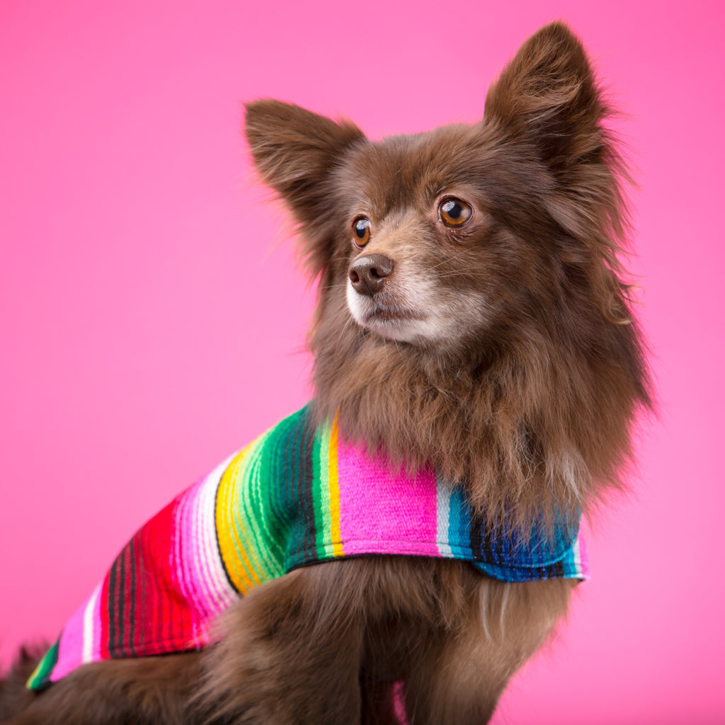 Dog Poncho - Pink